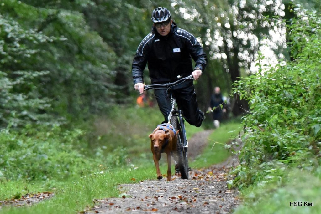 CaniCross Polizeihundverein Kiel